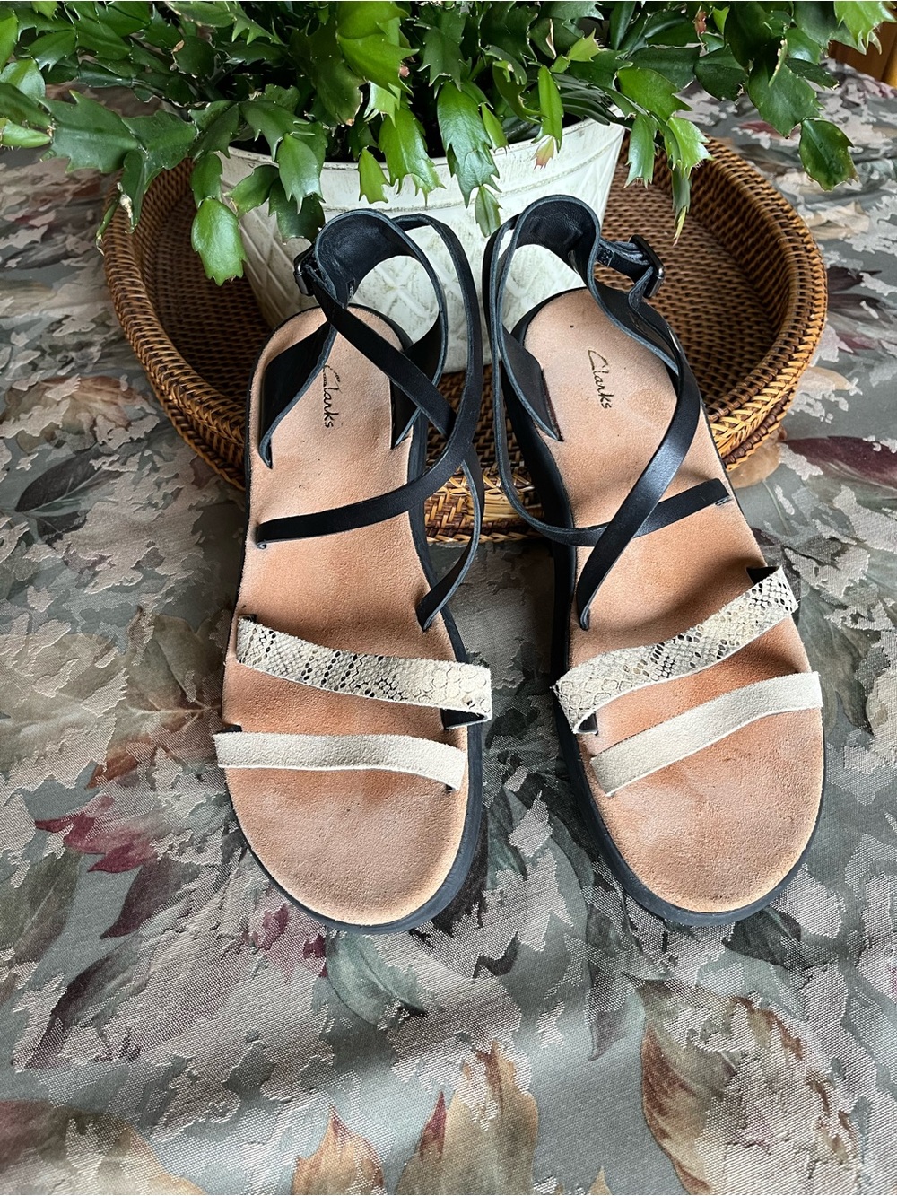 Clarks Jemsa Black and Beige Women's Strappy Sandals with Snakeskin Accent